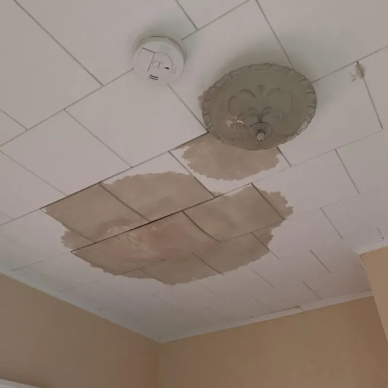 Ceiling Water Damage Repair in Fort Thompson, SD