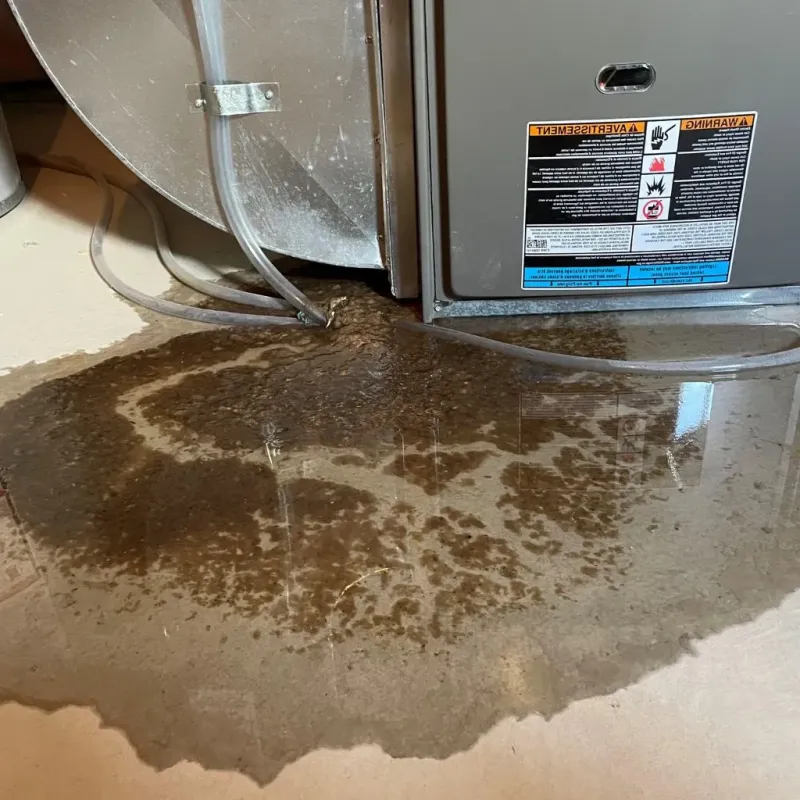 Pipe Burst and Leak Restoration in Fort Thompson, SD